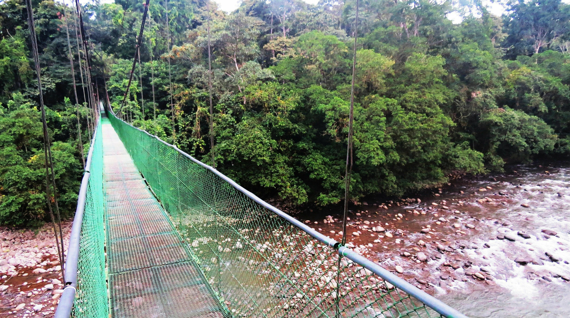 Tirimbina Rainforest Lodge Sarapiqui Exterior photo