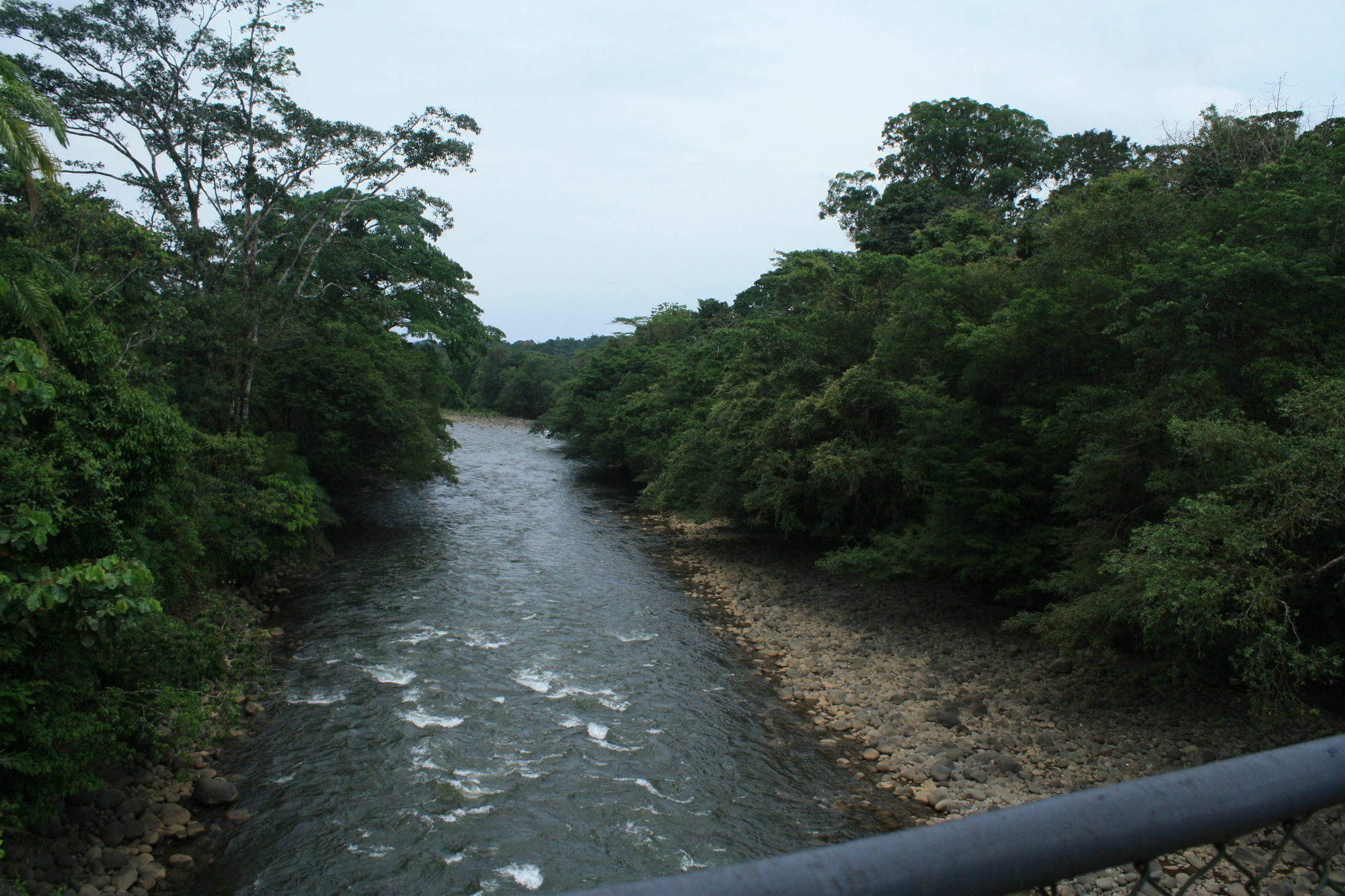 Tirimbina Rainforest Lodge Sarapiqui Exterior photo